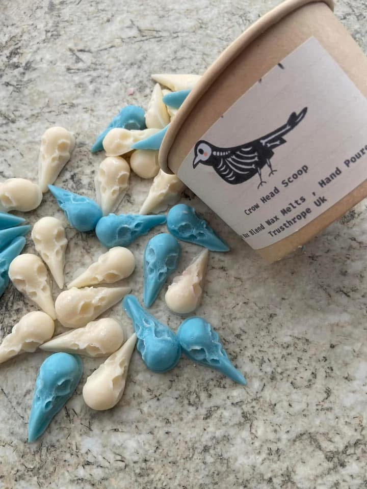 Pumpkin Patch Crow Skull Scented Wax melts