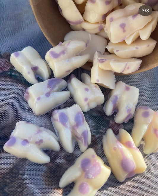 Sweet Tooth Autumn Edition Wax Melts