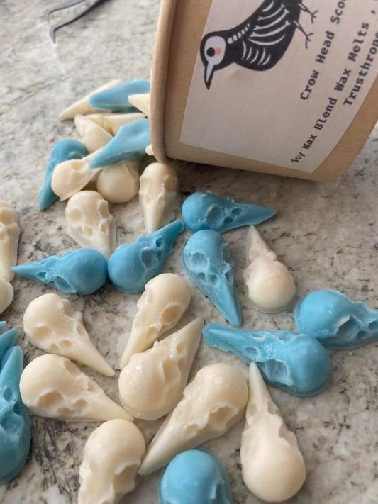Pumpkin Patch Crow Skull Scented Wax melts